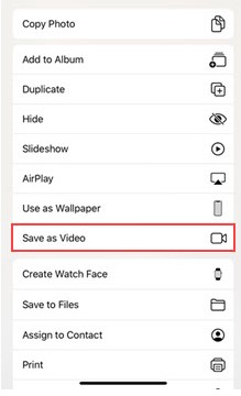 Save-as-Video.jpg